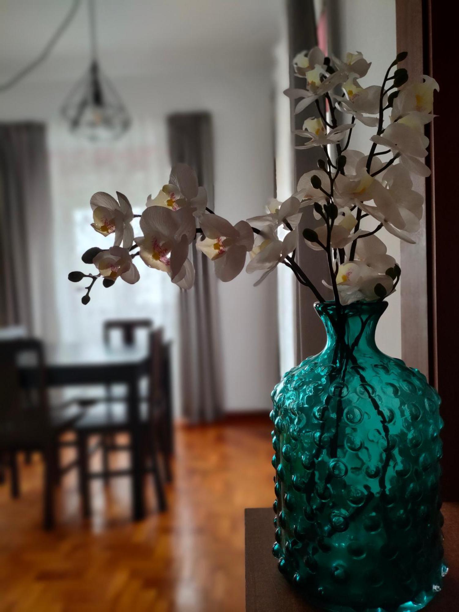 Apartamento Boavista Βίλα Νόβα ντε Γκάια Εξωτερικό φωτογραφία